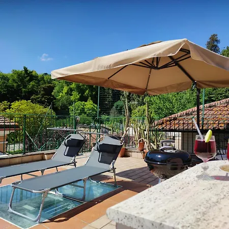 Domus Monami Dreams & Terrace In Trastevere Ρώμη