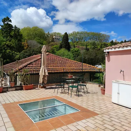 Domus Monami Dreams & Terrace In Trastevere