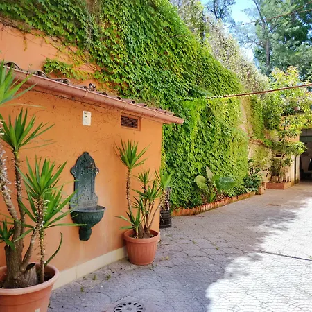 Domus Monami Dreams & Terrace In Trastevere Διαμέρισμα