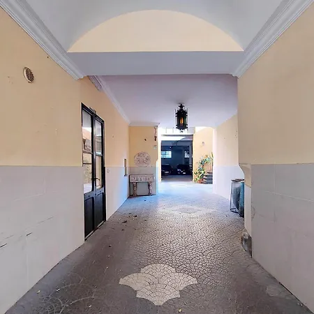 Domus Monami Dreams & Terrace In Trastevere Διαμέρισμα Ρώμη